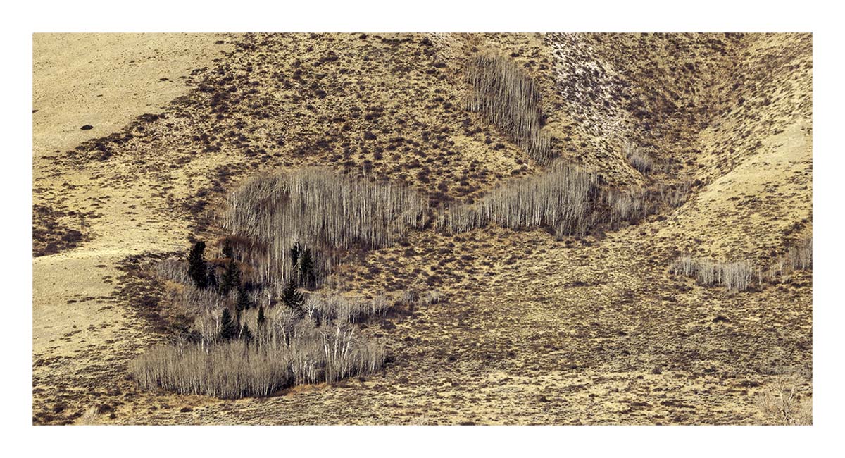 Grand Teton NP